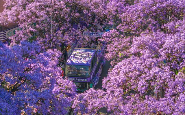 优服务繁荣文旅市场CQ9电子登录以更(图10)